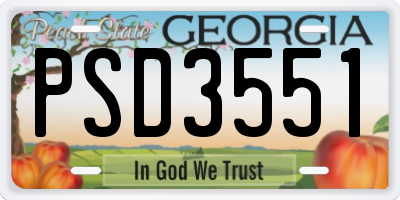 GA license plate PSD3551