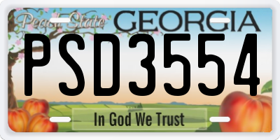 GA license plate PSD3554