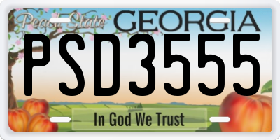 GA license plate PSD3555