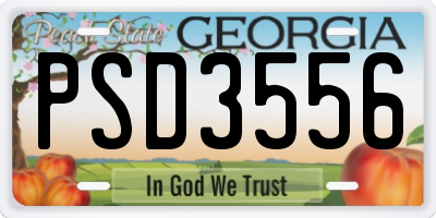GA license plate PSD3556