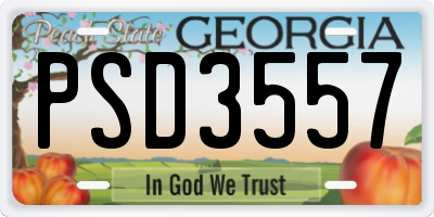 GA license plate PSD3557