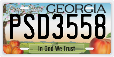 GA license plate PSD3558
