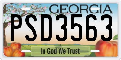 GA license plate PSD3563