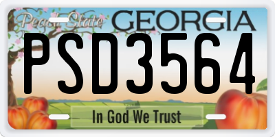 GA license plate PSD3564