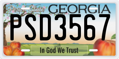 GA license plate PSD3567