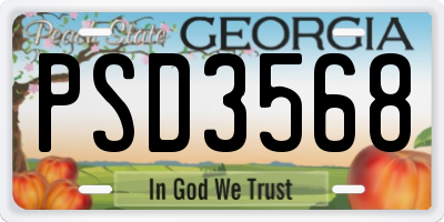 GA license plate PSD3568