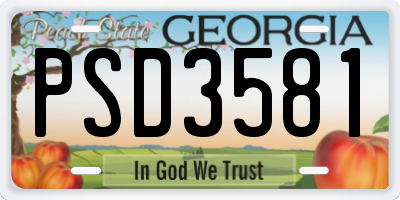 GA license plate PSD3581