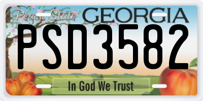 GA license plate PSD3582