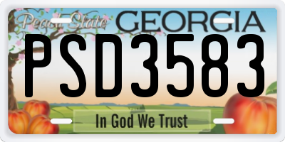 GA license plate PSD3583