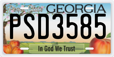 GA license plate PSD3585
