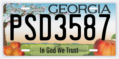 GA license plate PSD3587