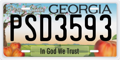 GA license plate PSD3593