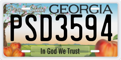 GA license plate PSD3594