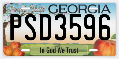 GA license plate PSD3596