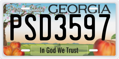 GA license plate PSD3597