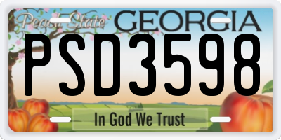 GA license plate PSD3598