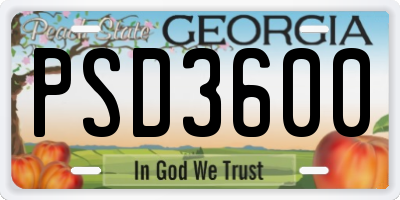 GA license plate PSD3600