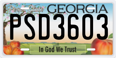 GA license plate PSD3603