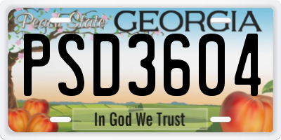 GA license plate PSD3604