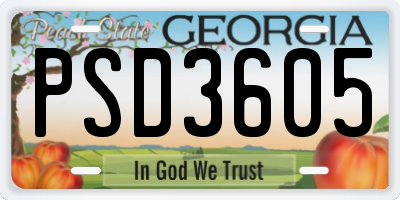 GA license plate PSD3605