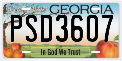 GA license plate PSD3607