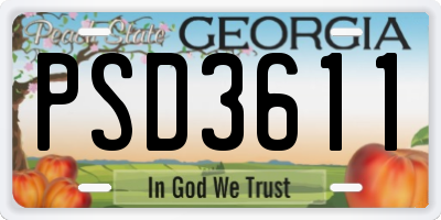 GA license plate PSD3611