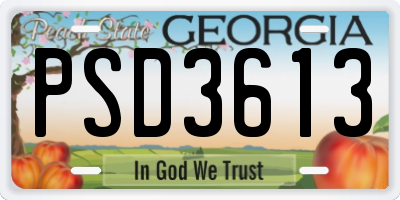 GA license plate PSD3613