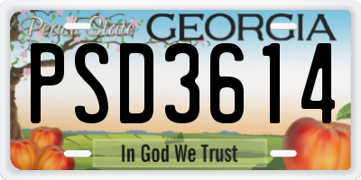 GA license plate PSD3614