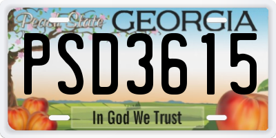 GA license plate PSD3615