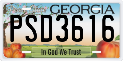 GA license plate PSD3616