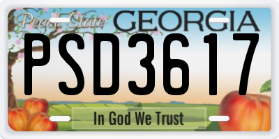 GA license plate PSD3617