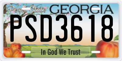 GA license plate PSD3618