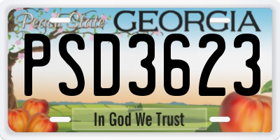 GA license plate PSD3623