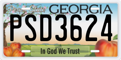 GA license plate PSD3624