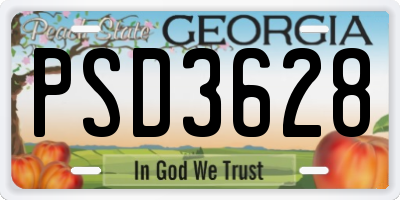 GA license plate PSD3628