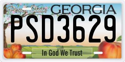 GA license plate PSD3629