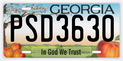 GA license plate PSD3630