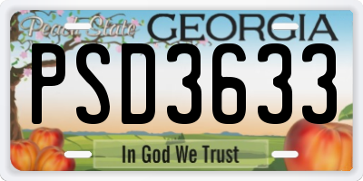 GA license plate PSD3633