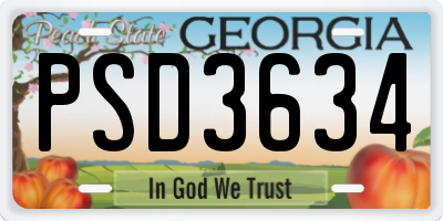 GA license plate PSD3634
