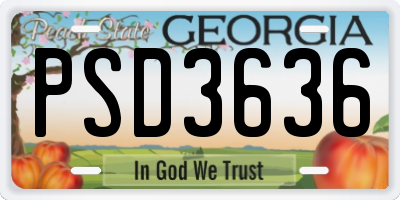 GA license plate PSD3636