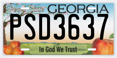 GA license plate PSD3637