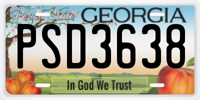 GA license plate PSD3638
