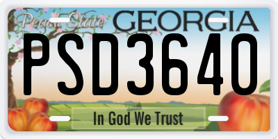 GA license plate PSD3640