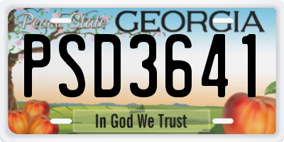 GA license plate PSD3641