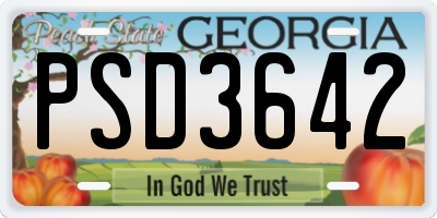 GA license plate PSD3642