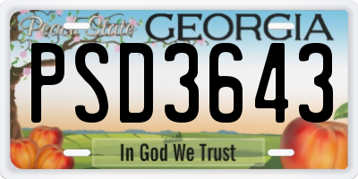 GA license plate PSD3643