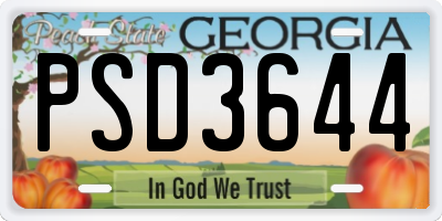 GA license plate PSD3644
