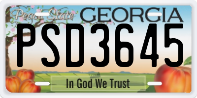 GA license plate PSD3645