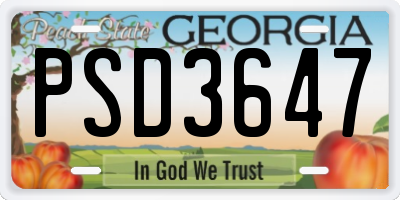 GA license plate PSD3647