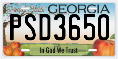 GA license plate PSD3650